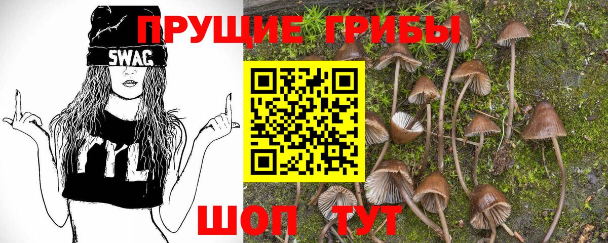 Стрежевой  Галлюциногенные грибы Magic Shrooms  Вход с VPN 