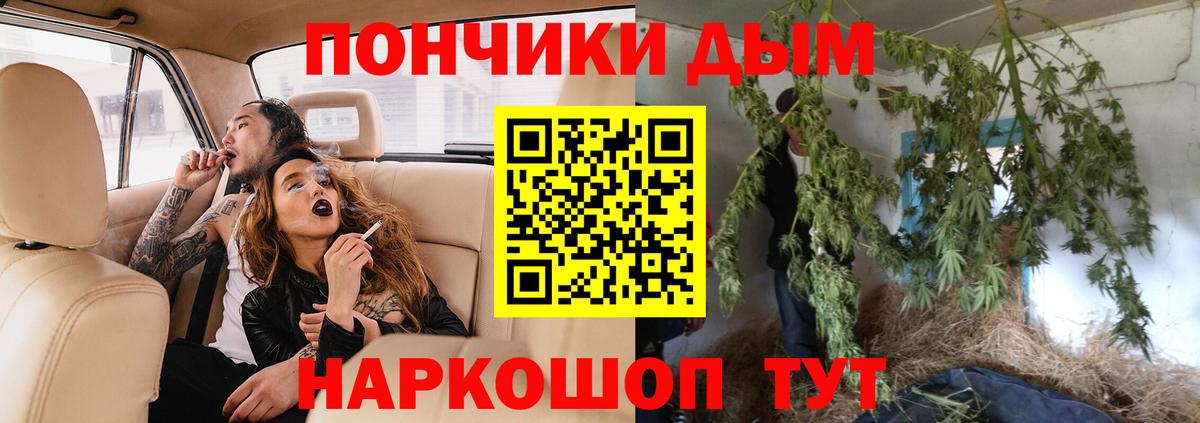Каннабис план Стрежевой